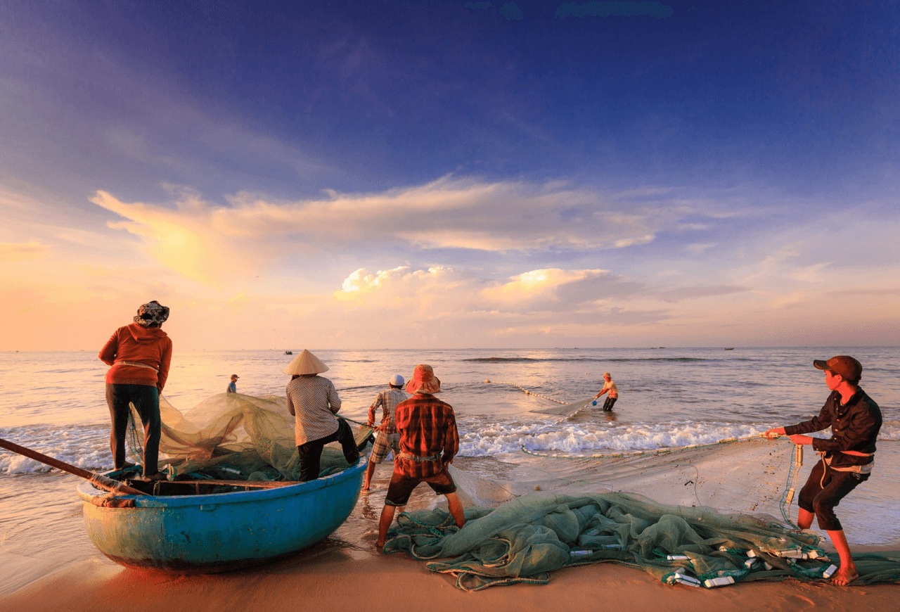 Pêche Durable