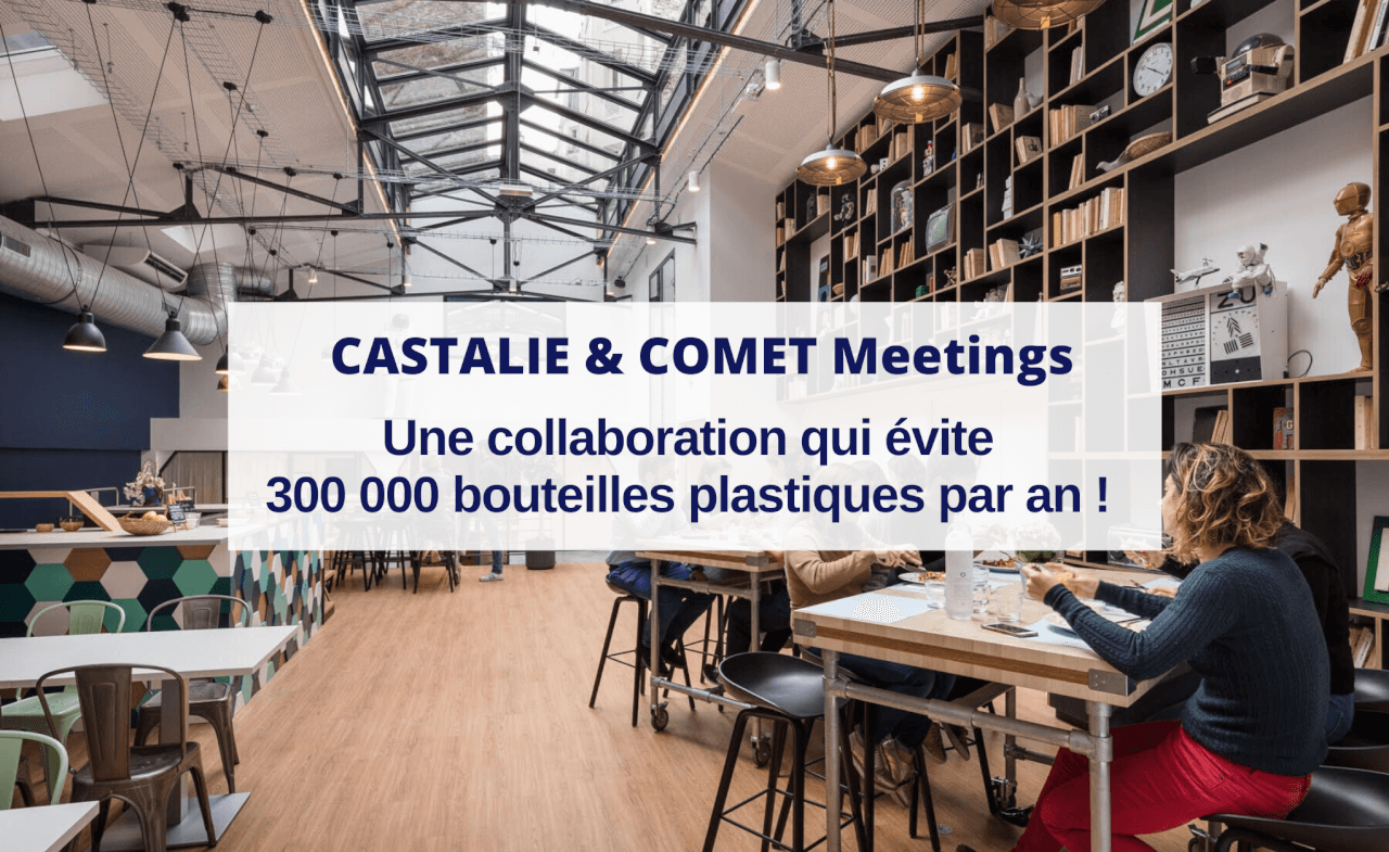 castalie-et-comet-meetings