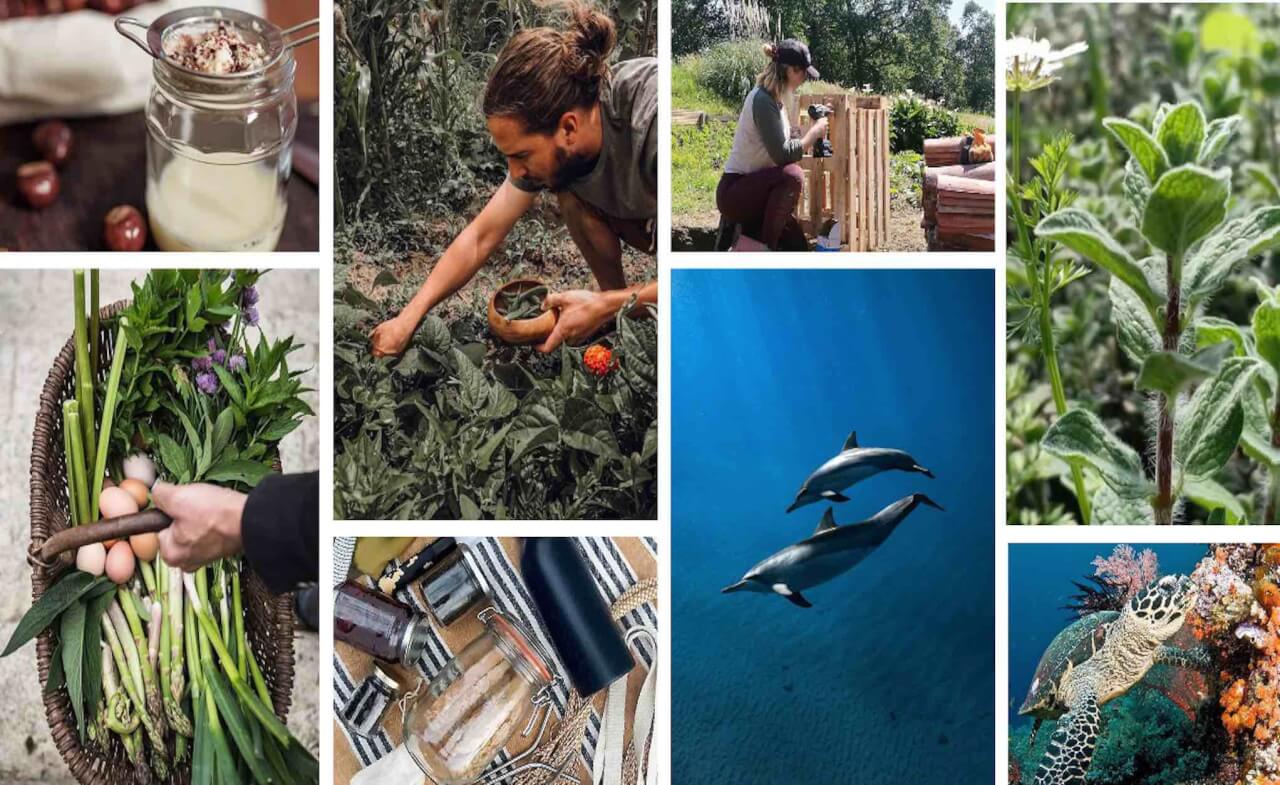 instagram Castalie ecologie planete