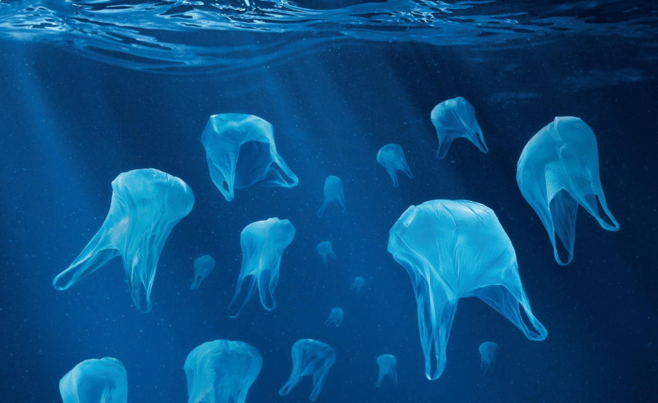 écologie plastique ocean