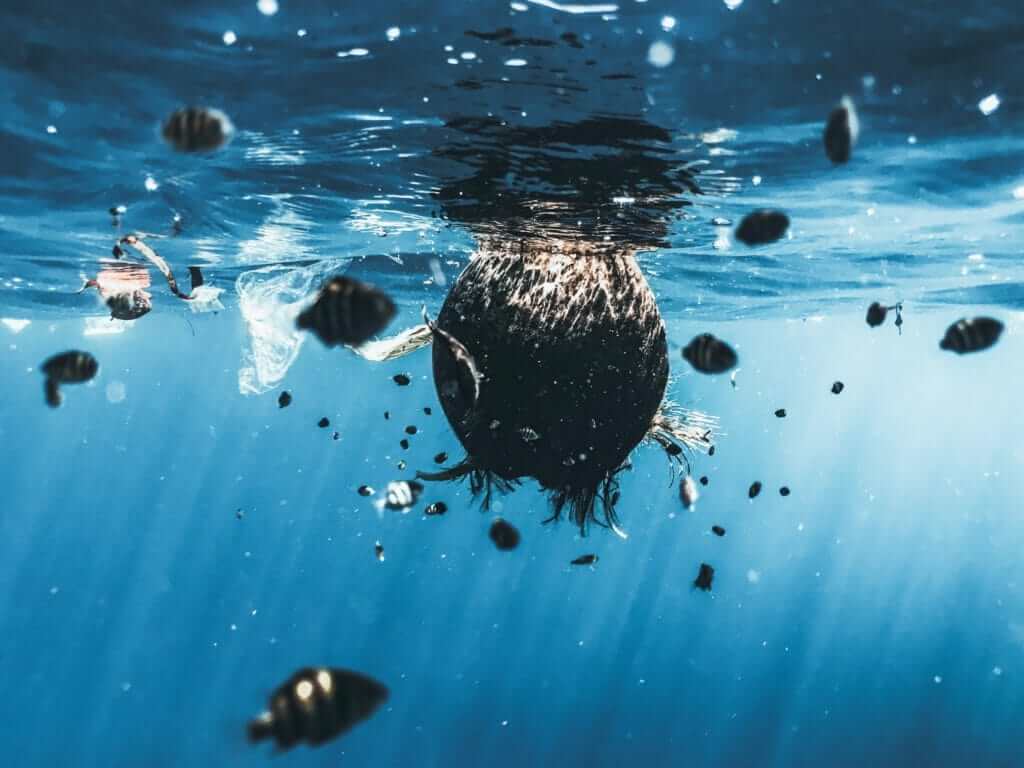 pollution ocean plastique Castalie