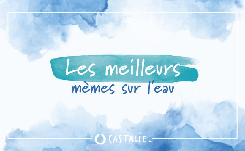 Les meilleurs mèmes sur l’eau