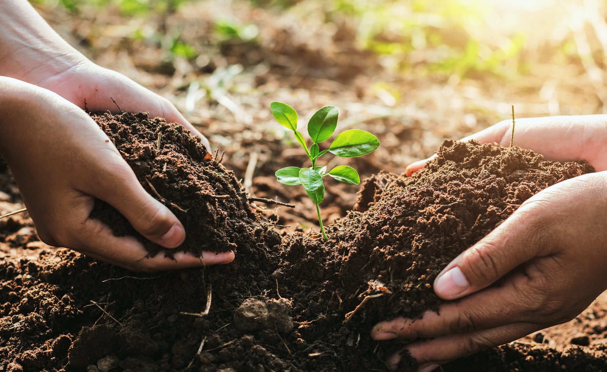 Vépluche et CASTALIE : une belle histoire d’écologie 